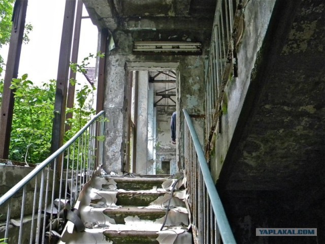 Мы и Тыгра. S.T.A.L.K.E.R.ы, через 12 стран