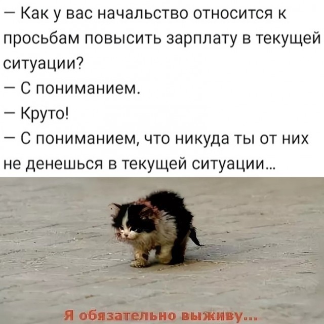 Картинки и мемы для настроения  - 31