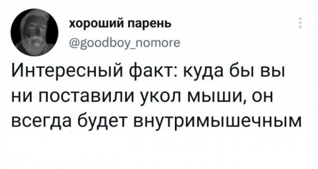 Картинки и мемы для настроения - 27
