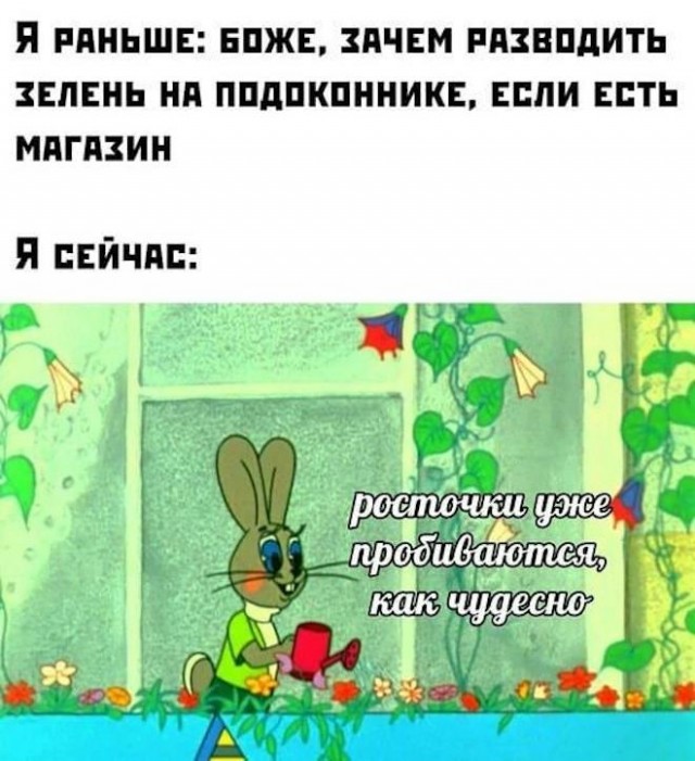 Картинки и мемы - "Жить, как говорится, хорошо..."