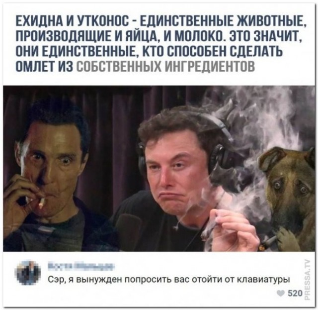 Скриншоты и комментарии из социальных сетей 3.08.22