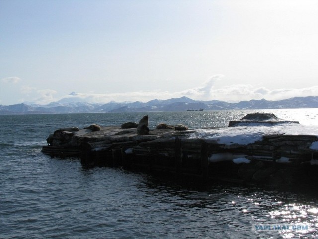 Городок N на Камчатке
