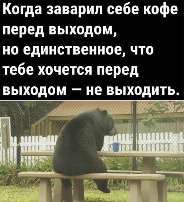 Картинки и мемы, всем хороших выходных