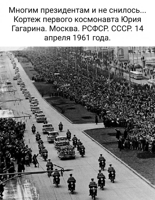 Прикольные картинки с надписям