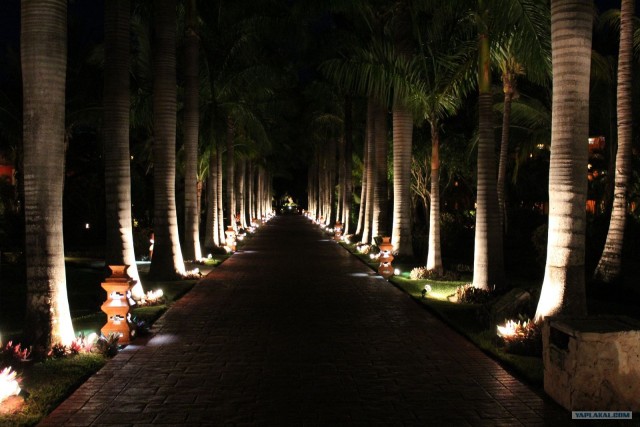 Поездка в Мексику (за деньги)