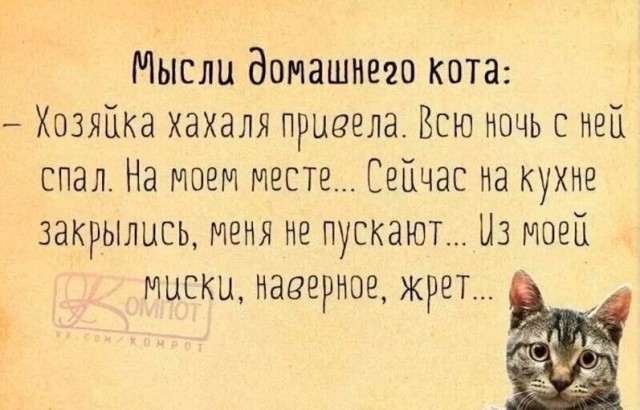 Картинки и мемы для настроения - 119