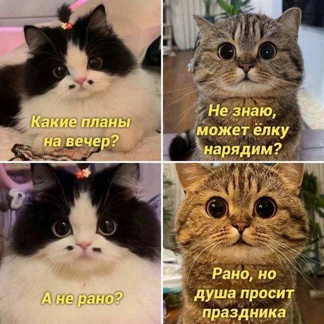 Немного картинок для настроения - 135