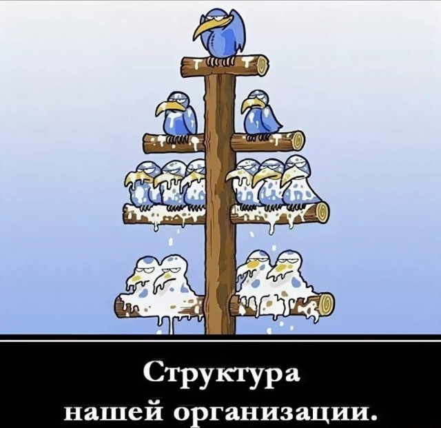 Картинки и мемы, всем хороших выходных