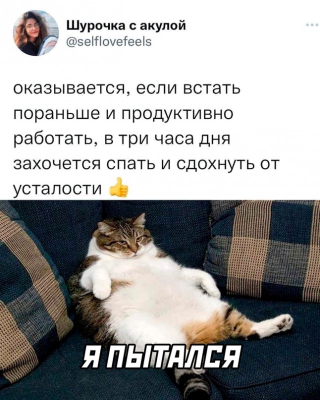Немного картинок для настроения - 153
