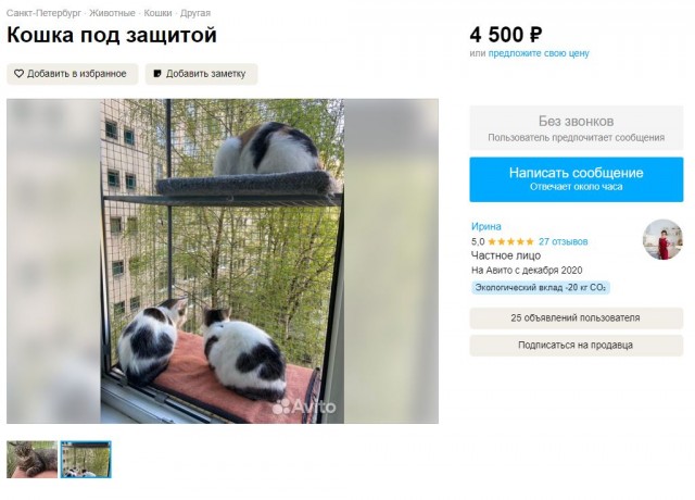 Балкон для кота на окно установлен у кого нить?