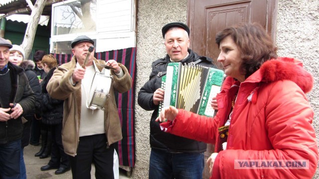 Крым в феврале или "Не стреляйте в белых лебедей!"