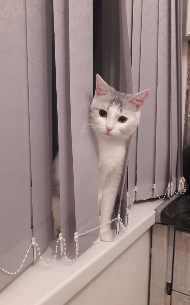 Каждому знакомо