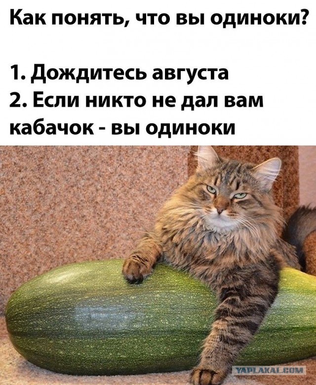 Икра кабачковая по ГОСТу