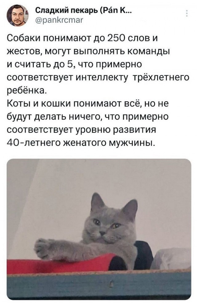 Картинок пост, баянистых и не очень