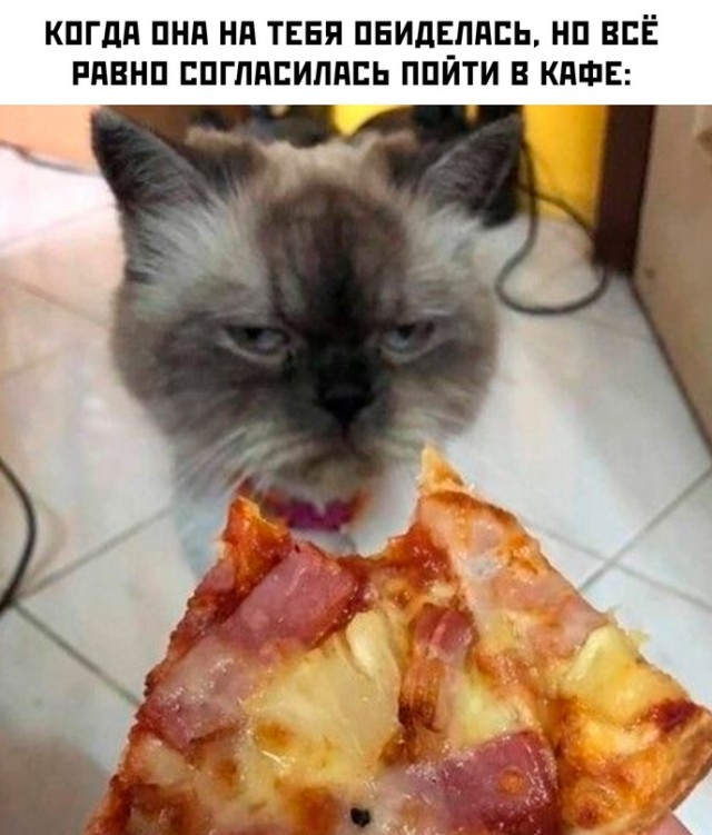 Весёлый полтишок 09.11.23