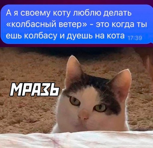 Среда пришла - неделя прошла, дорогие деграданты