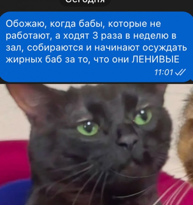 Весёлый полтишок 20.02.24