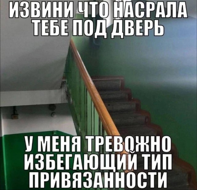 Всего понемногу. Оо 22.02.24