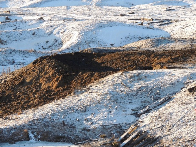 Страшное эхо войны в карельском лесу