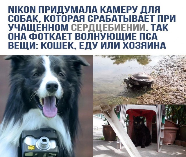 Картинки разные с надписями и без