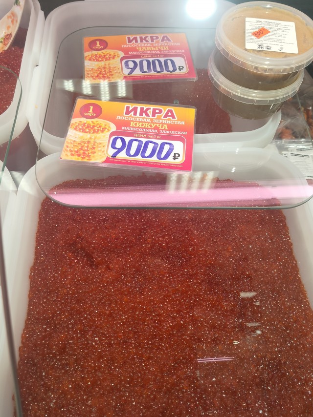 Сгонял на Камчатку