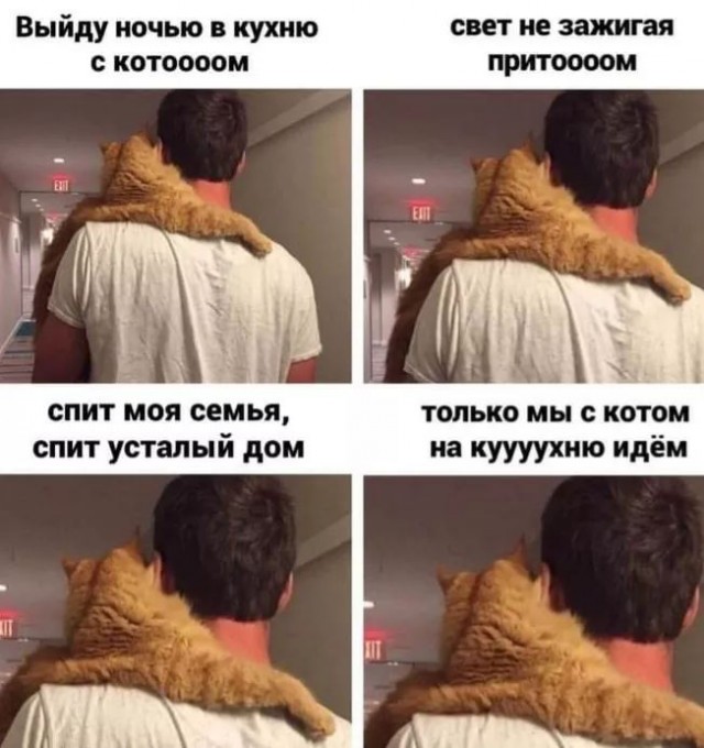 Завалялось тут случайно немного забавных картинок