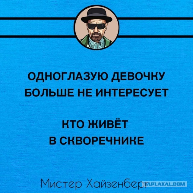 Так себе картинки 26.11.24