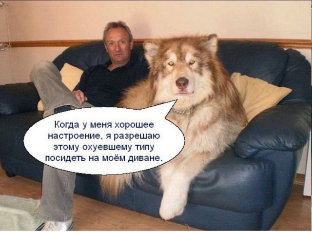 Завалялось тут случайно немного забавных картинок