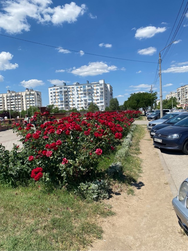 Небанальные факты о Крыме, о которых мало кто знает