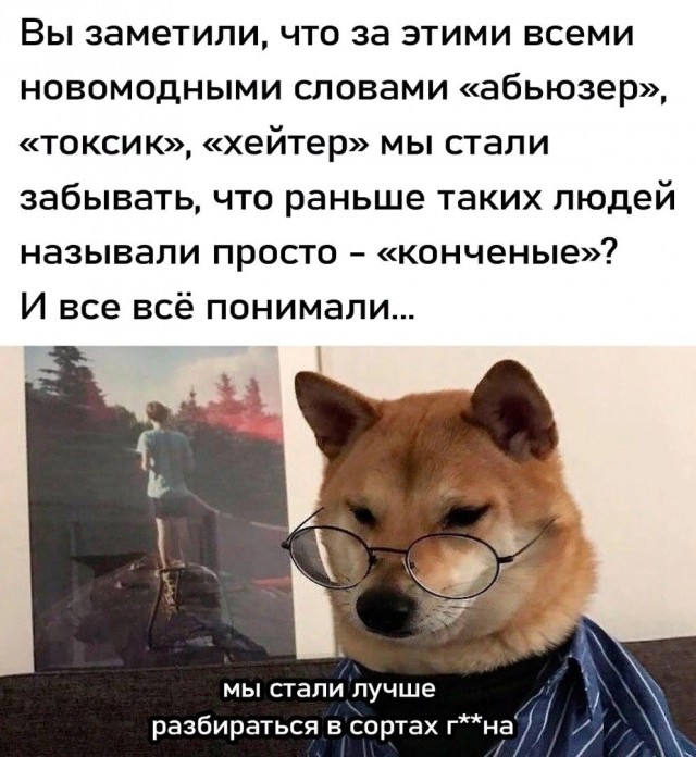Картинки для деградации 23 (разной степени свежести)