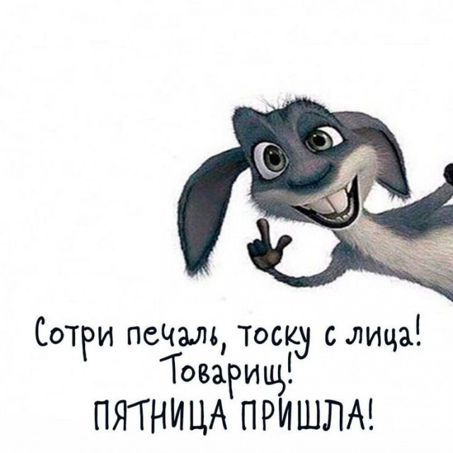 Прикольные и просо красивые картинки 05.09.2025