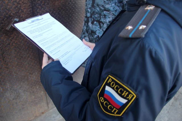 В Новгородской области мать десятерых детей лишена родительских прав и обязана выплатить алименты на 2,5 миллиона рублей