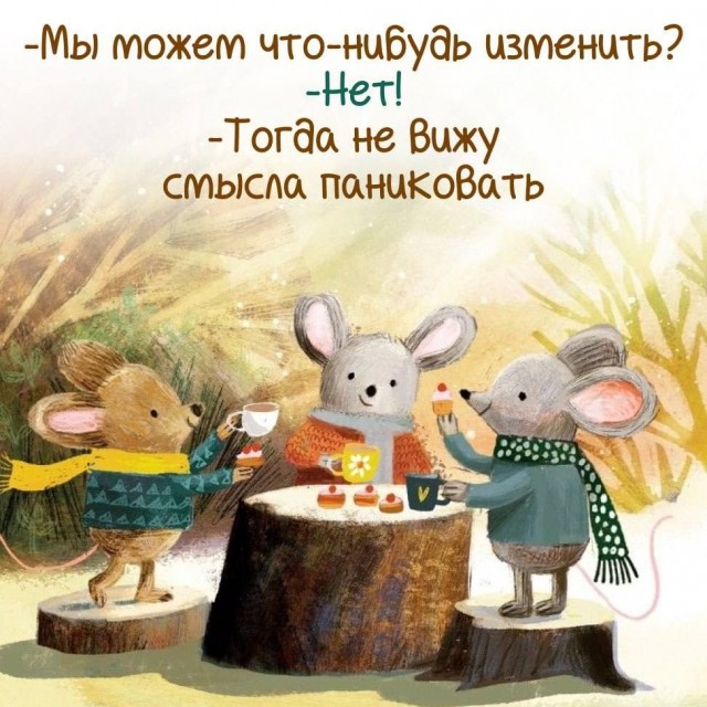 Прикольные и просто красивые картинки 16.01.2026