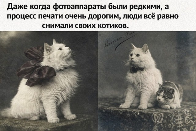 Субботние картинки
