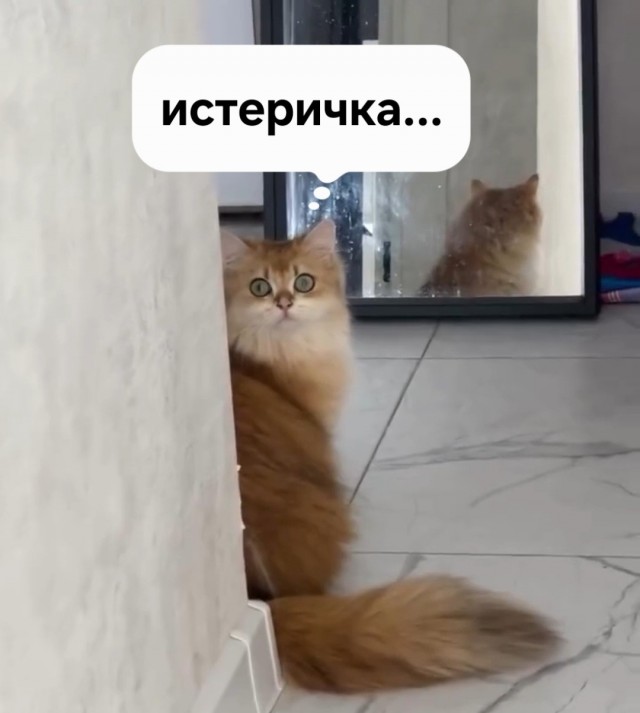 Я? Да ну на нахер я