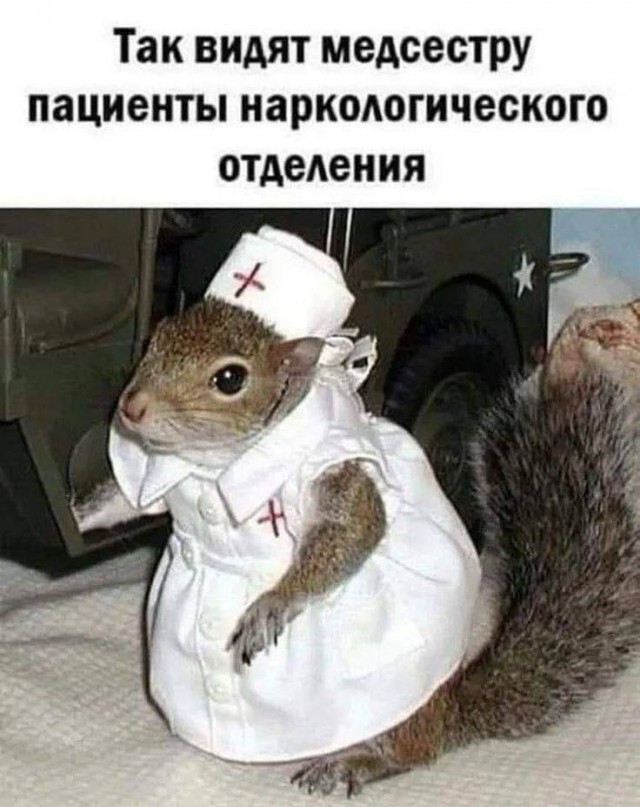 Веселое настроение в картинках 12.08.26