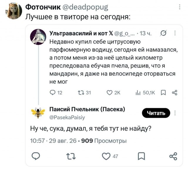 Потная гамсахурдия №8 (Картинки)