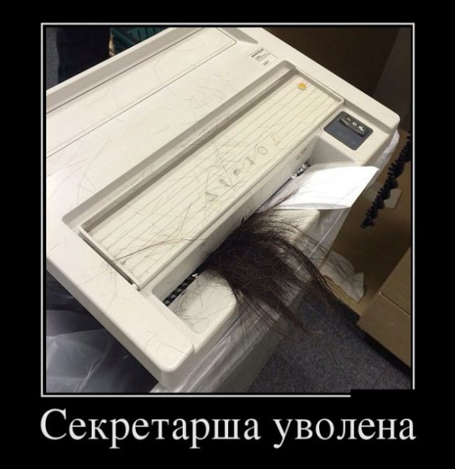 Весёлые картинки
