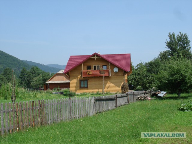 Горганы