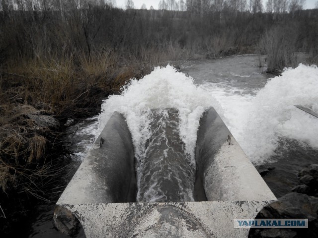 Разные разности с телефона