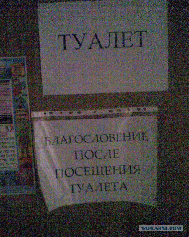 Казусы жизни