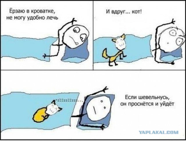 Немного картинок из сети