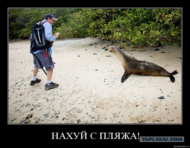 Уволить свидомого с НТВ