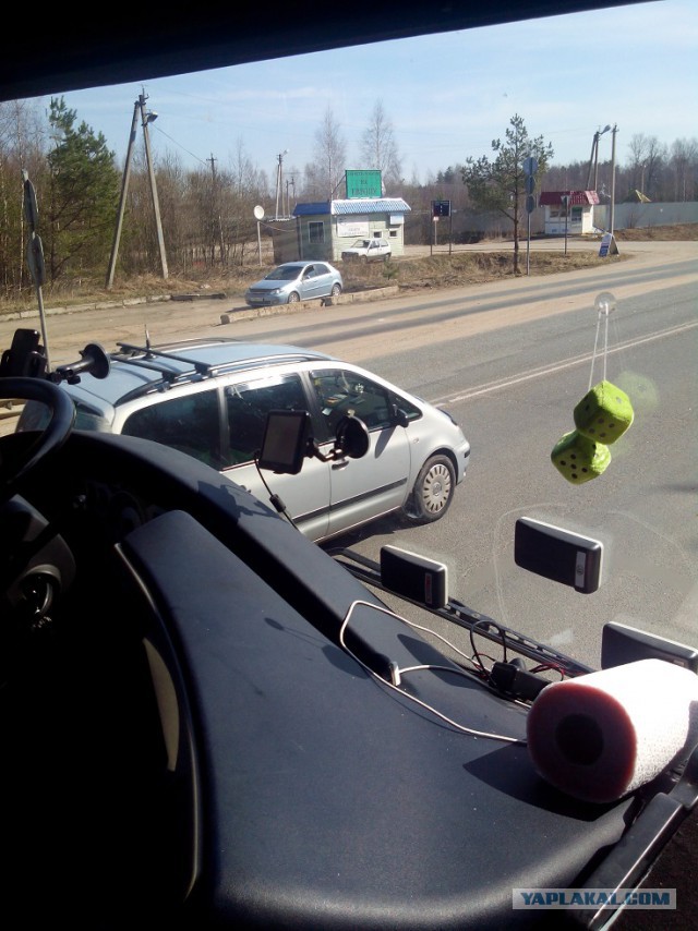 Миграция московского планктона