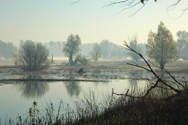 Деревенская Америка