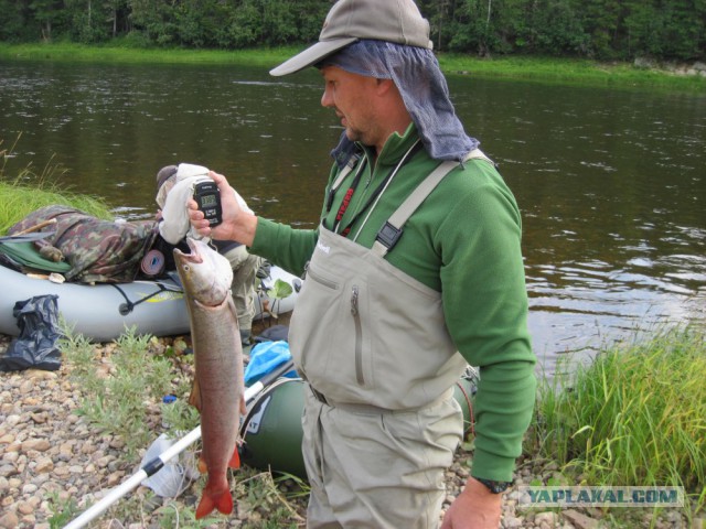 Сибирь 2015