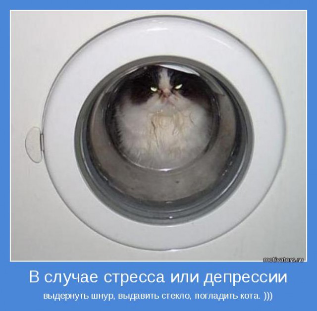 Последствия невнимательности со стиральной машиной
