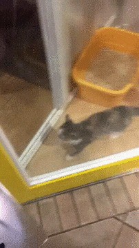 Когда тебя очень рады видеть