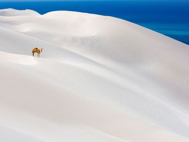 Картинки разные