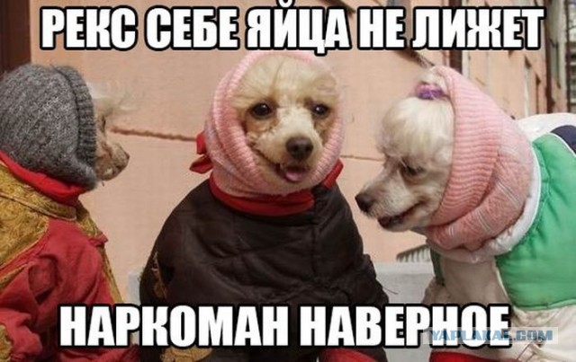 Картинки